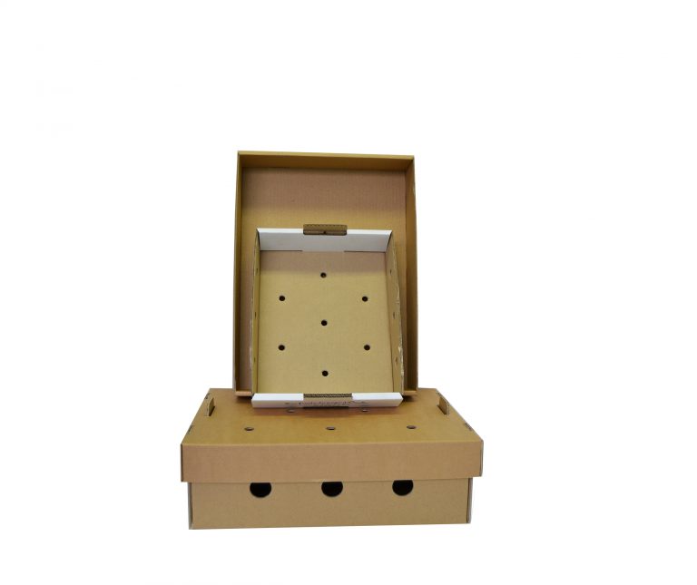 Les caissettes carton Les caissettes carton