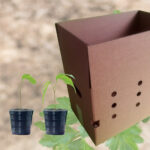 Caisse spéciale pour plantes