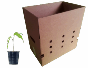 Vue extérieure caisse pouvant accueillir 6 pots de plante et plus