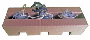 Calage 3 pots de plantes